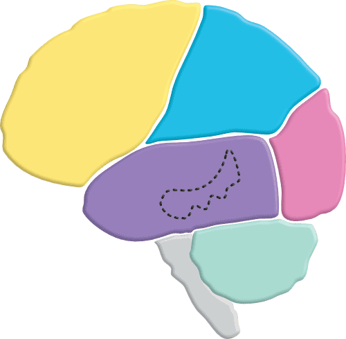 dementia brain functions