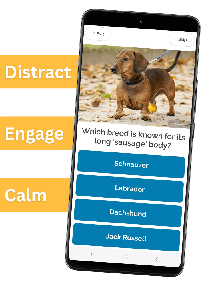 plm landing page dog game image